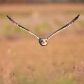 Dsc 1013 copie 1280x853 