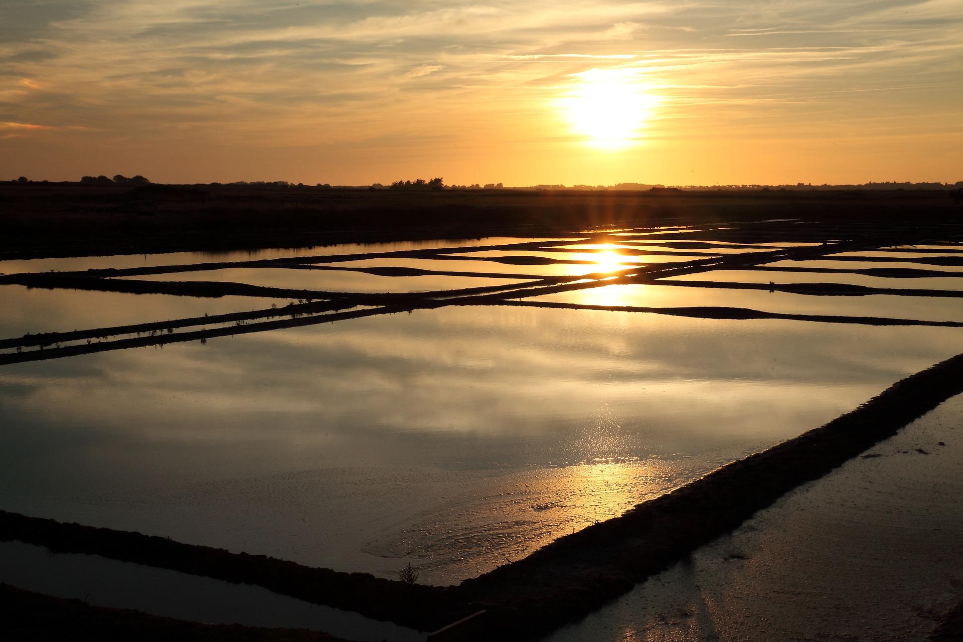 Salt marshes gf63ea697f 1920