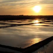 Salt marshes gf63ea697f 1920