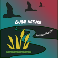 Antoine Mercier guide nature